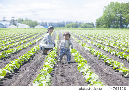 該領域的父母和孩子 44763128