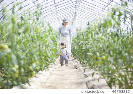 Parent and child of the field 44763217