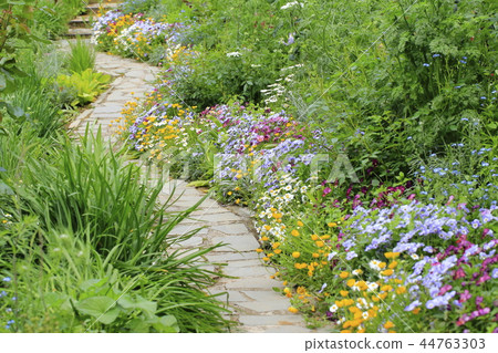 赤尾之森（Akao Herb & Rose Garden）初夏花園 44763303