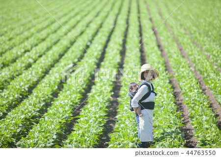 現場工作 44763550