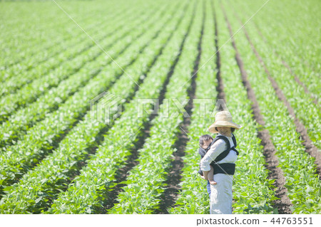 現場工作 44763551