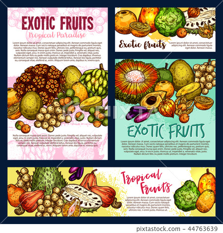 Exotic tropical fruitsand berries, vector sketch Exotic tropical fruitsand berries, vector sketch 44763639