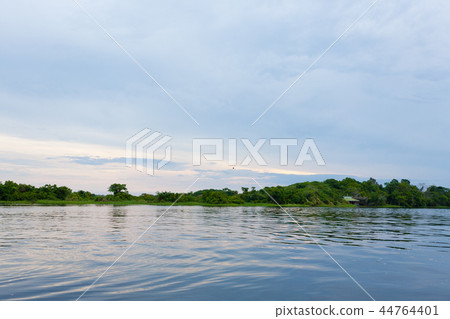 Panorama from Amazon rainforest, Brazilian wetland Panorama from Amazon rainforest, Brazilian wetland 44764401
