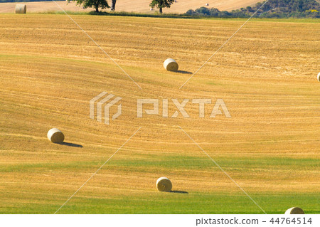 Tuscany hills landscape, Italy Tuscany hills landscape, Italy 44764514
