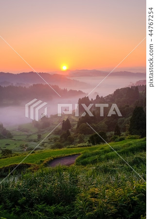 Terraced rice terrace (morning view) 44767254
