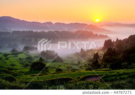 梯田（早晨） 44767271