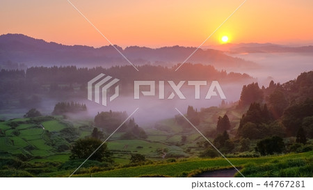 Terraced rice terrace (morning view) 44767281