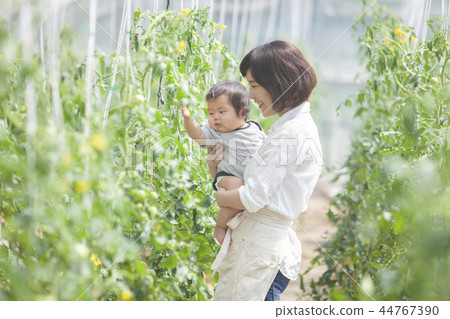 Parent and child of the field Parent and child of the field 44767390