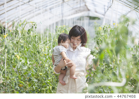 Parent and child of the field Parent and child of the field 44767408