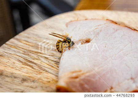Wasps cutting meat from a slice of ham, close up Wasps cutting meat from a slice of ham, close up 44768293