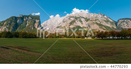 Idyllic landscape in the Alps with fresh green meadows and blooming flowers and snowcapped mountain Idyllic landscape in the Alps with fresh green meadows and blooming flowers and snowcapped mountain 44770293