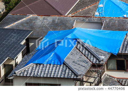 Housing covered roof with blue sheet Housing covered roof with blue sheet 44770406
