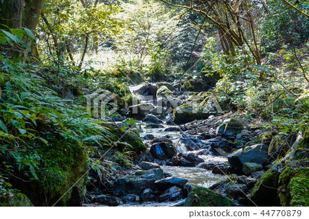 Tanigawa在山上 Tanigawa在山上 44770879