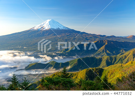 Autumn leaves, Mt. Fuji, morning of Shindonoki 44771032