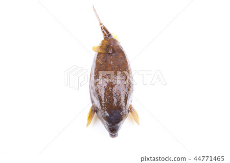 Chinese fry ingredients 44771465