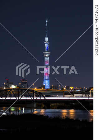 Sky tree at night 44771673