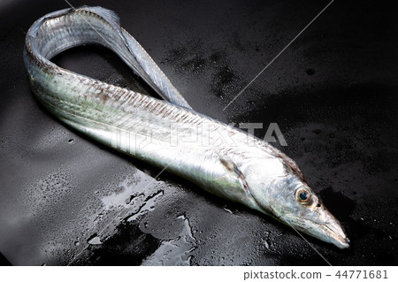 Tachi Uo ingredients 44771681