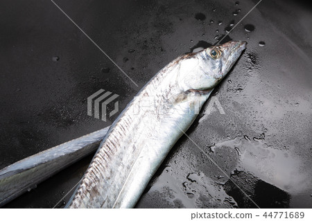 Tachi Uo ingredients 44771689