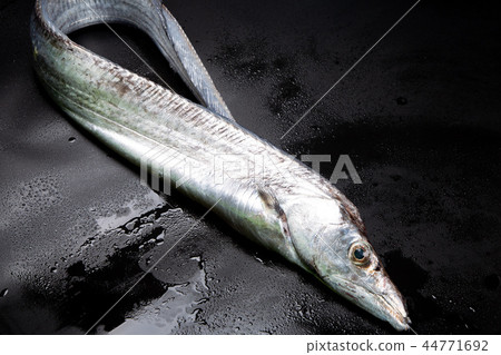 Tachi Uo ingredients 44771692