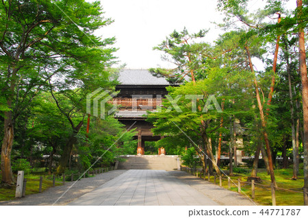 Blue autumn leaves of Nanzen-ji / Sanmon (Tenjo Ryumon) 44771787