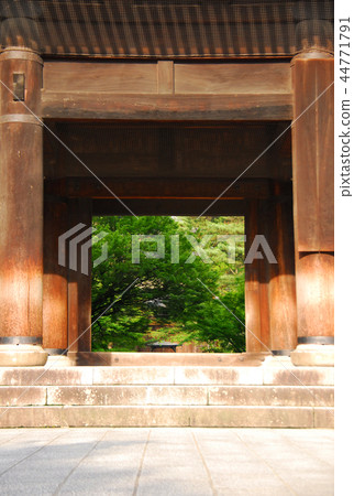 Blue autumn leaves seen from the picture frame of Nanzenji and Sanmon (Tenmon Ryumon) 44771791