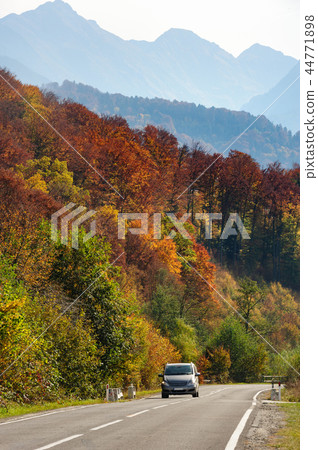 Car in the forest at Transfagarasan road 44771898