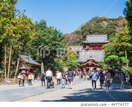 Kamakura Tsurugaoka Hachimangu Shrine 44774377