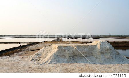 flower of sea salt in salt pan farm, salt field  44775115