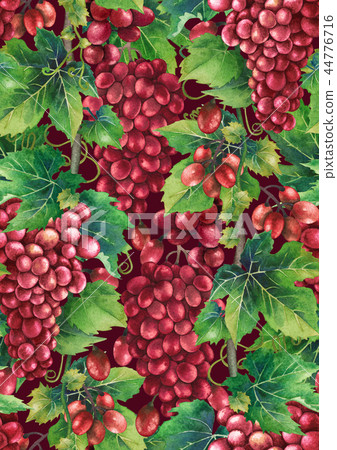 Watercolor pattern of redgrapes bunches Watercolor pattern of redgrapes bunches 44776716