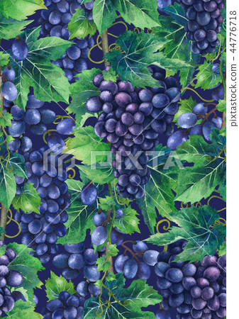 Watercolor pattern of blue grapes bunches Watercolor pattern of blue grapes bunches 44776718