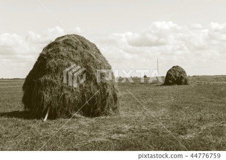 Two haystacks on the meadow 44776759