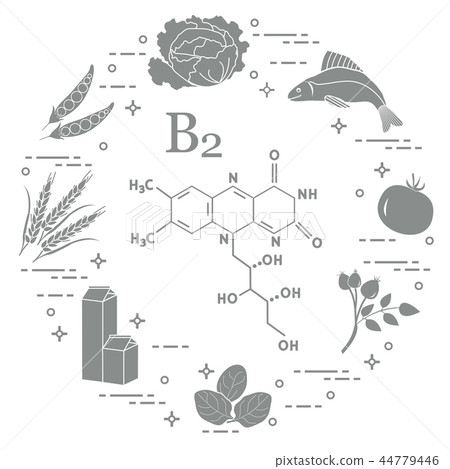 Foods rich in vitamin B2 Fish, peas and other. Foods rich in vitamin B2 Fish, peas and other. 44779446