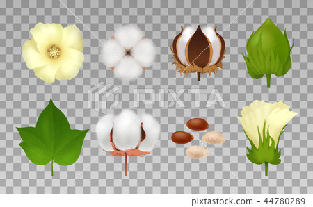Cotton Realistic Transparent Icon Set 44780289