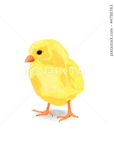 Watercolor chicken 44780763