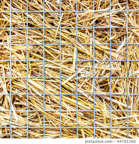 Close-up part of craft hotel or house for wild bees and other insect made of natural eco materials Close-up part of craft hotel or house for wild bees and other insect made of natural eco materials 44781160
