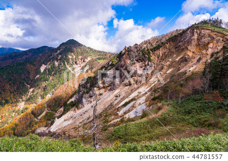 Autumn Manza Shiga Kogen seen from Kamishin Skyline (Gunma Prefecture) 44781557