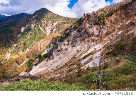 Autumn Manza Shiga Kogen seen from Kamishin Skyline (Gunma Prefecture) 44781558