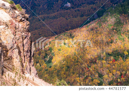Autumn Manza Shiga Kogen seen from Kamishin Skyline (Gunma Prefecture) 44781577