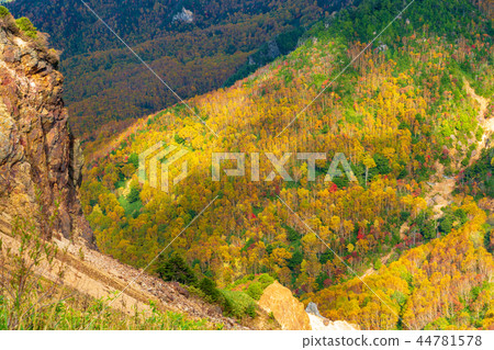 Autumn Manza Shiga Kogen seen from Kamishin Skyline (Gunma Prefecture) 44781578