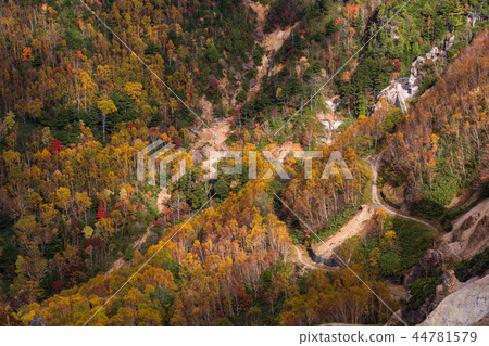 Autumn Manza Shiga Kogen seen from Kamishin Skyline (Gunma Prefecture) 44781579
