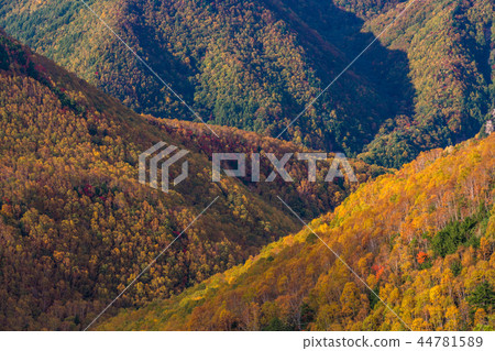 Manza Plateau in autumn, seen from the Joshin skyline (Gunma Prefecture) 44781589