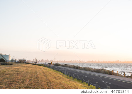 海 海 44781844