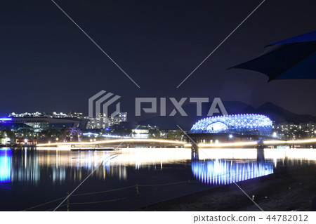 Sejong Sejong 44782012