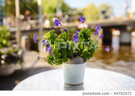 Outdoor cafes. Table with blue flower. Outdoor cafes. Table with blue flower. 44782072
