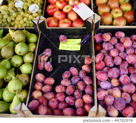 Fresh plums, pears, apples and grapes for sale Fresh plums, pears, apples and grapes for sale 44782074