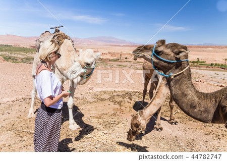 Young woman with a camels in Morocco. 44782747