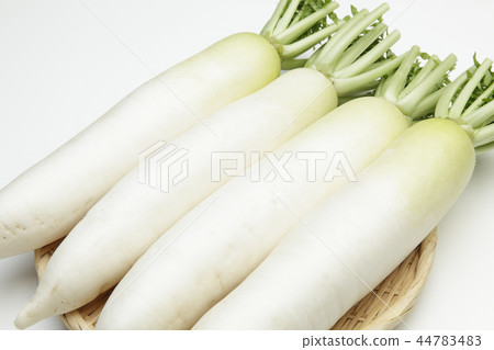 Domestic Japanese radish 44783483