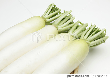 國內日本蘿蔔 國內日本蘿蔔 44783484