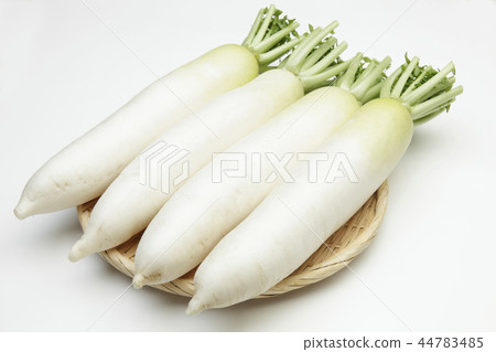 國內日本蘿蔔 國內日本蘿蔔 44783485