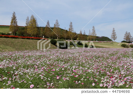 花季十月 花季十月 44784698
